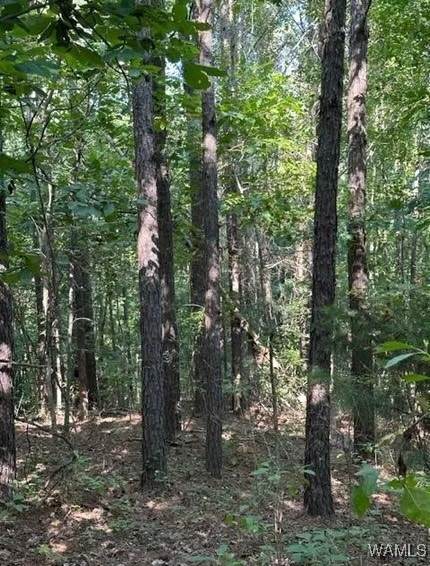 00 Fernkbank Road - Photo 1