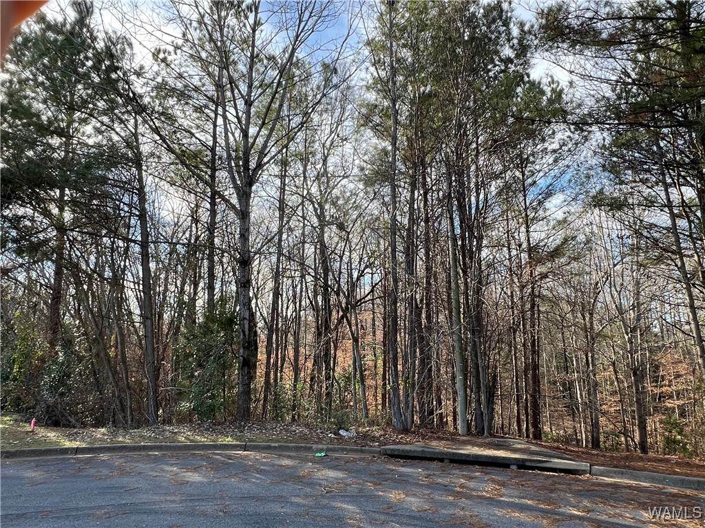 929 Parkhill Drive - Photo 1