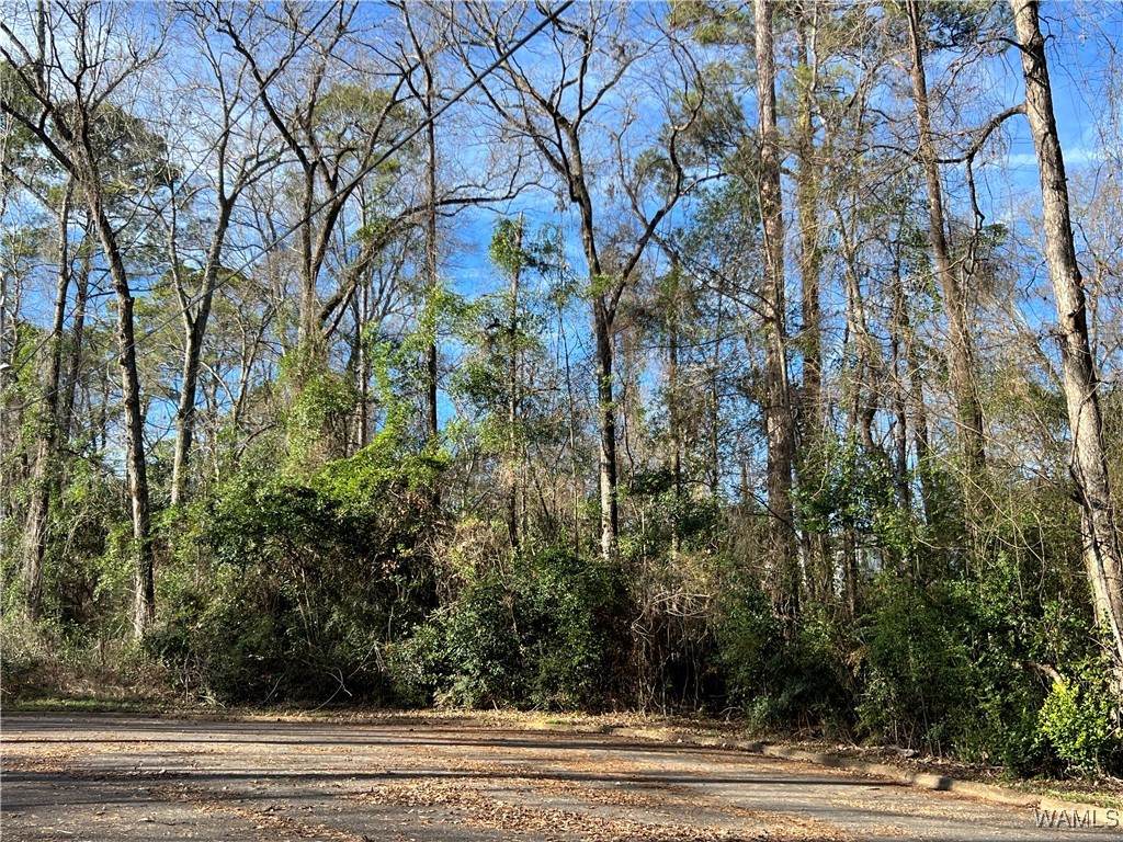 901 Hillsdale Court - Photo 1