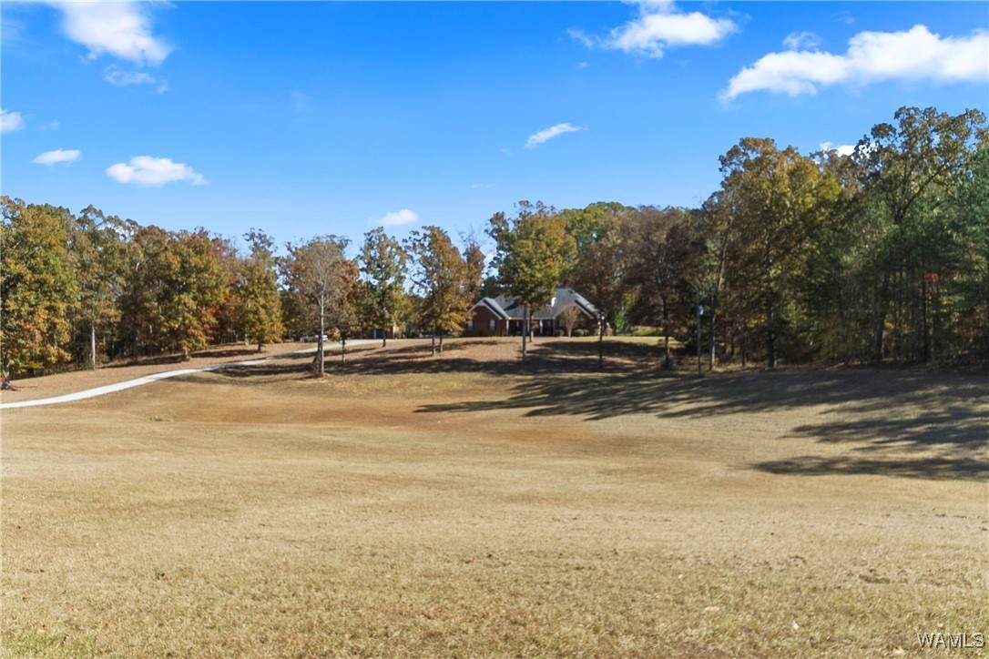 https://bt-photos.global.ssl.fastly.net/tuscaloosa/orig_boomver_1_172727-2.jpg