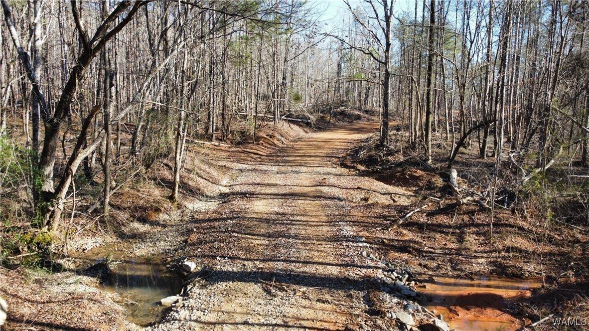 0 County Road 83 - Photo 1