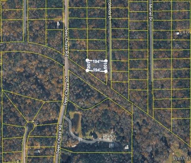 12 Glenda Drive - Photo 1