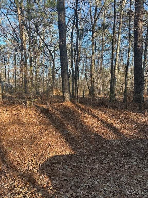 20 Marshall Drive - Photo 1