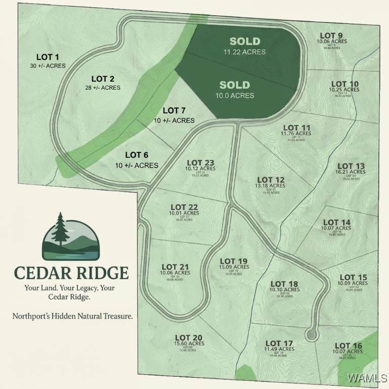 01 Cedar Ridge - Photo 1