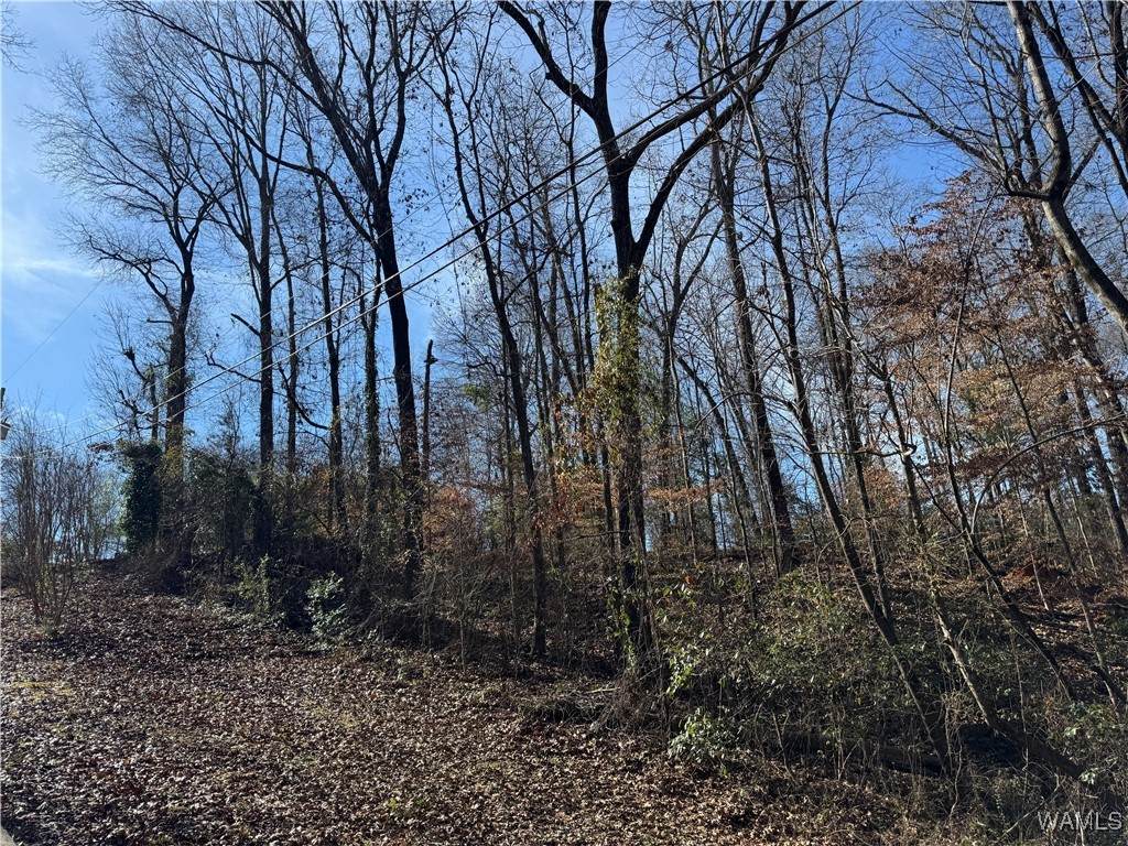 00 East Lake Drive - Photo 1