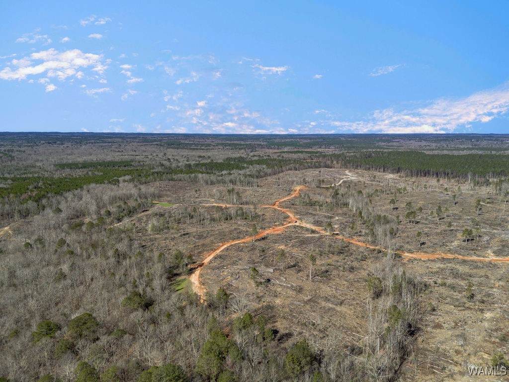 0 Brown Street - Photo 1