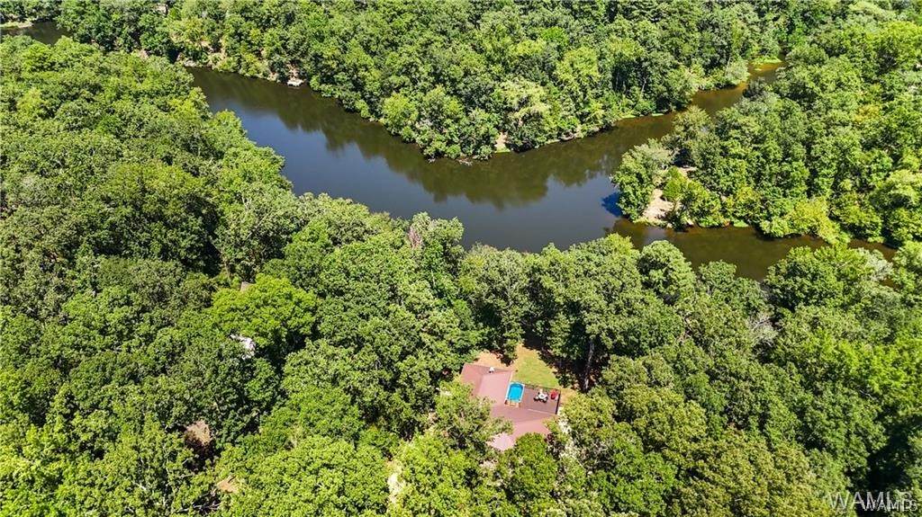 10802 Mallard Lake Lane - Photo 1