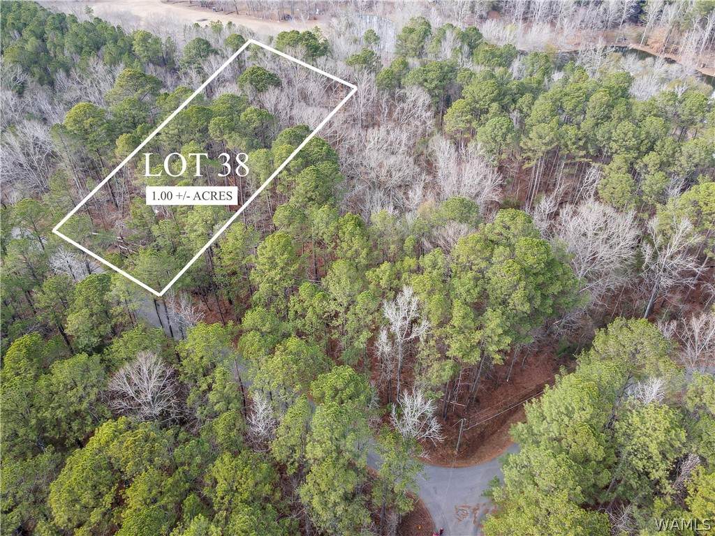 Lot 38 Grandview - Photo 1