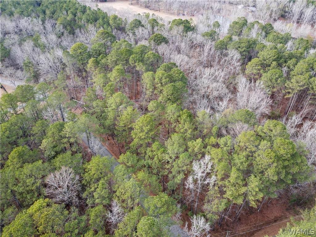 https://bt-photos.global.ssl.fastly.net/tuscaloosa/orig_boomver_1_173266-2.jpg
