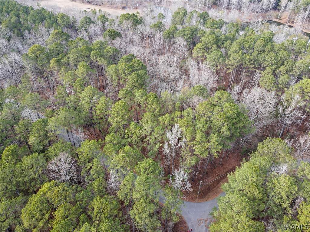 https://bt-photos.global.ssl.fastly.net/tuscaloosa/orig_boomver_1_173266-2.jpg