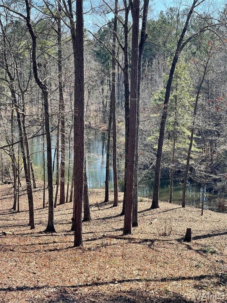 0000 Hidden Valley Cove - Photo 1