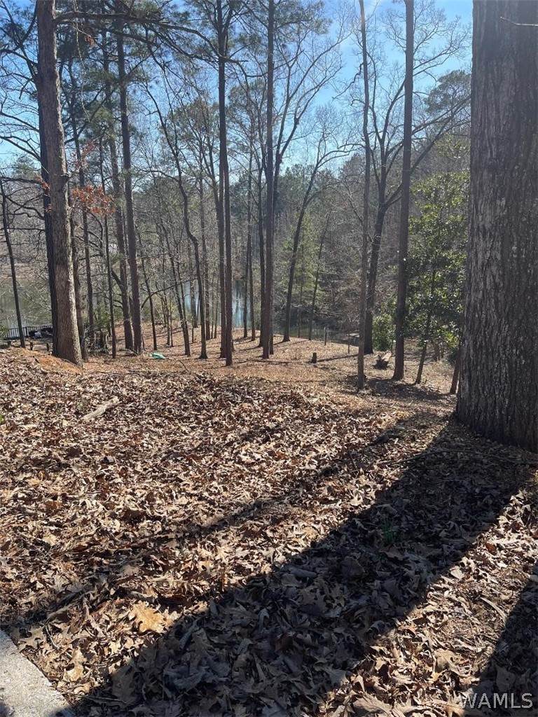 https://bt-photos.global.ssl.fastly.net/tuscaloosa/orig_boomver_1_173340-2.jpg