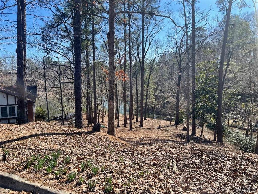 https://bt-photos.global.ssl.fastly.net/tuscaloosa/orig_boomver_1_173340-2.jpg