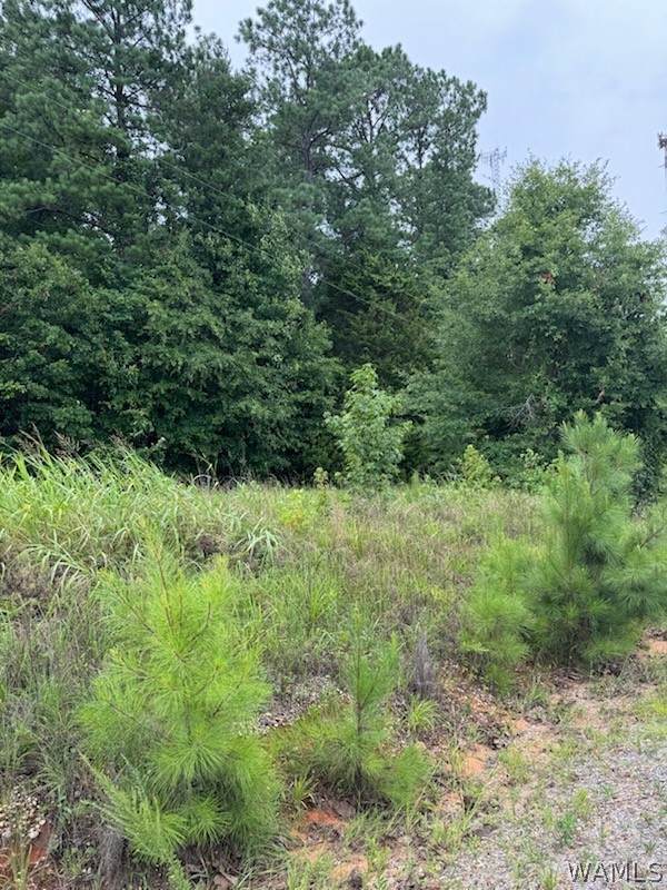 10452 N Davis Road - Photo 1