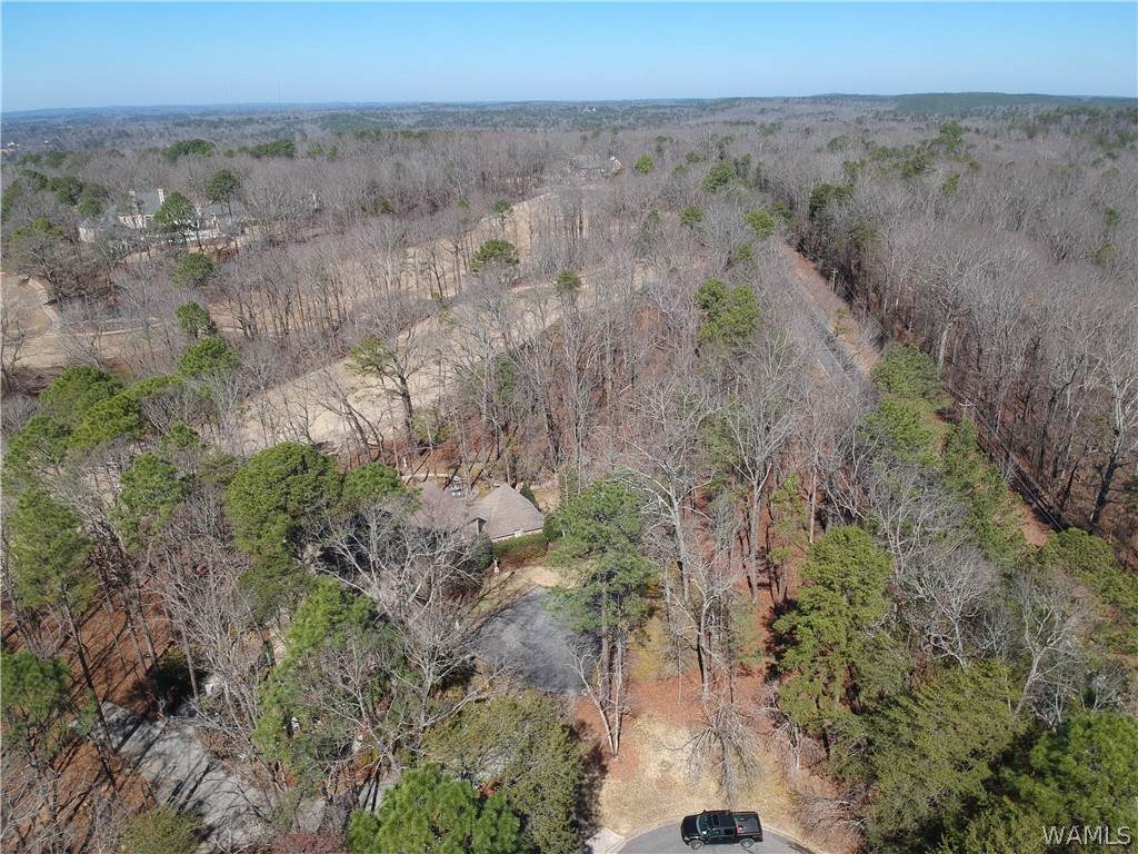 https://bt-photos.global.ssl.fastly.net/tuscaloosa/orig_boomver_1_173415-2.jpg