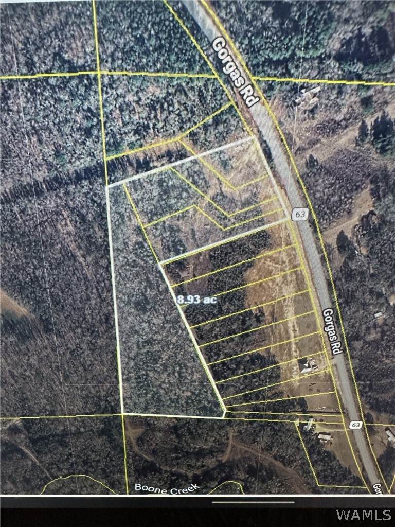 21732 Gorgas Rd - Photo 1