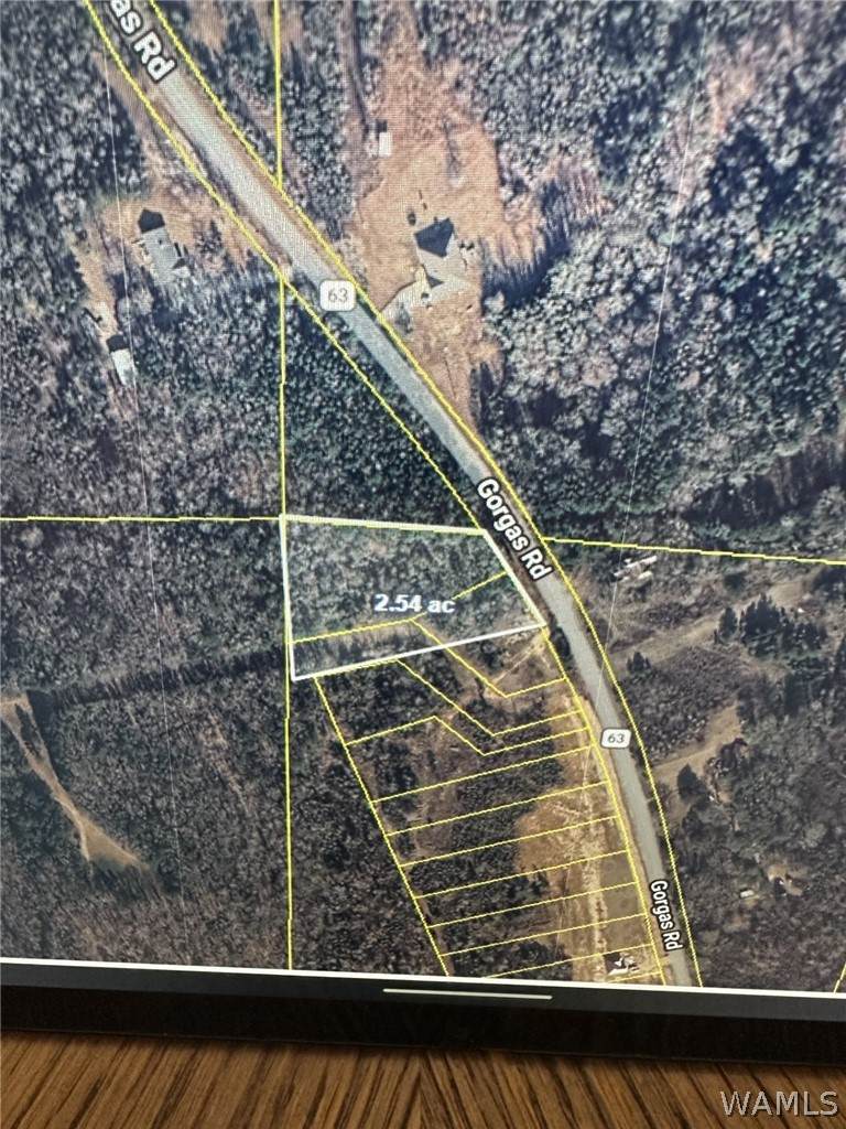 1 & 2 Gorgas Rd - Photo 1