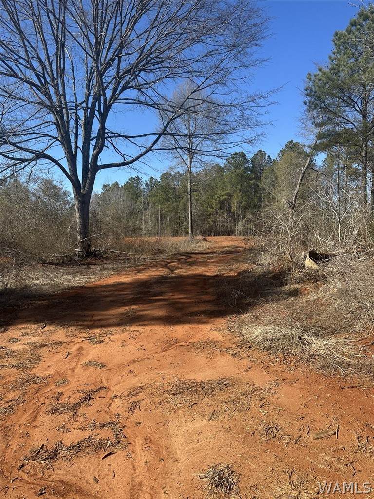 https://bt-photos.global.ssl.fastly.net/tuscaloosa/orig_boomver_1_173534-2.jpg