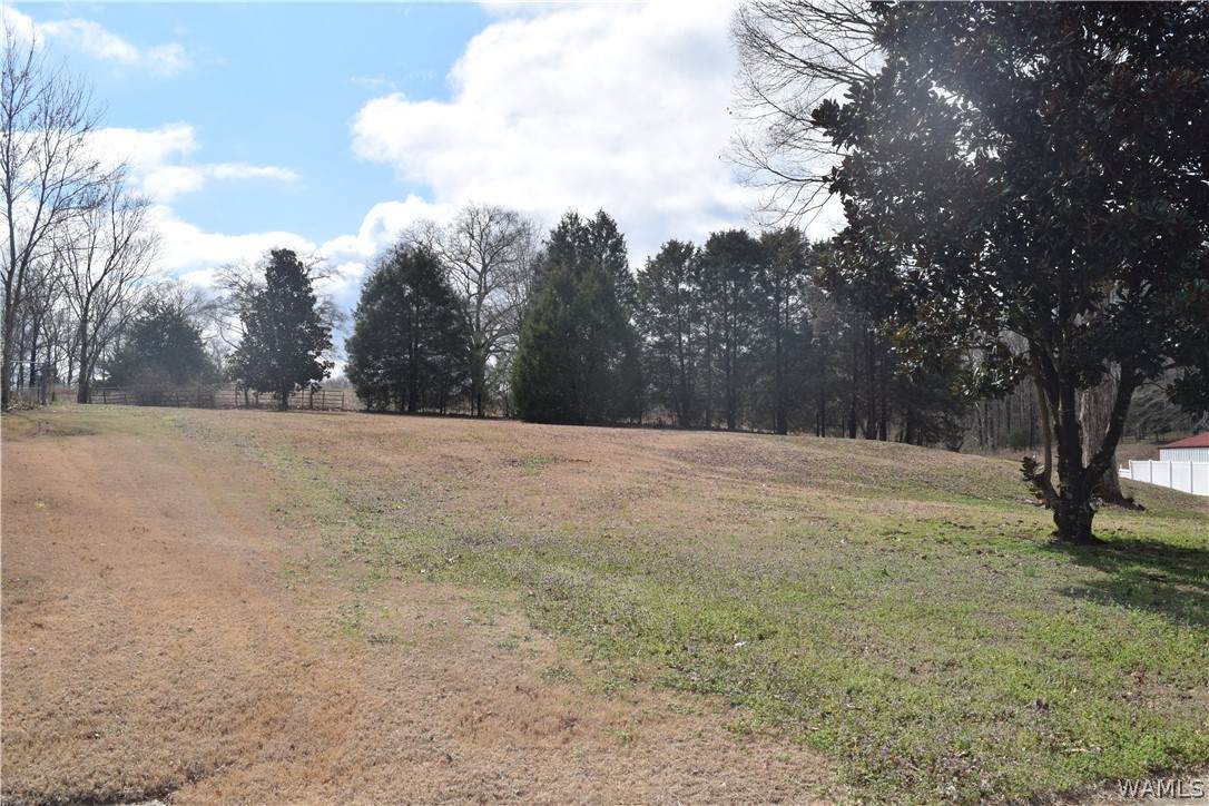 22213 Sandra Lane - Photo 1