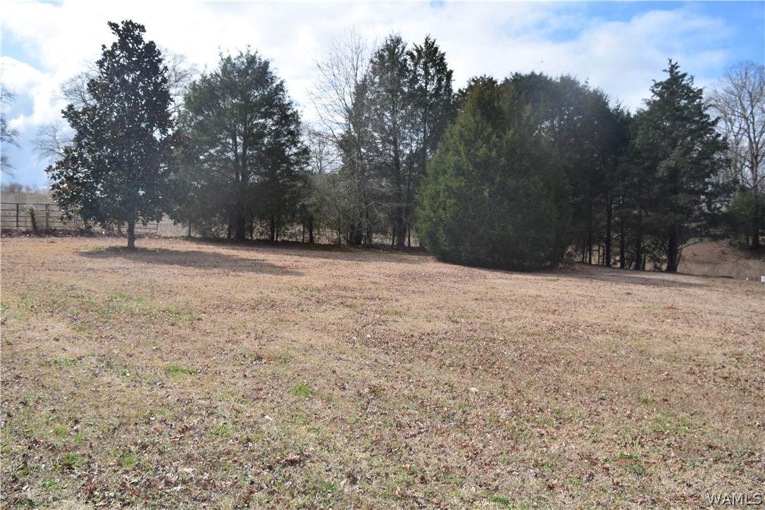 https://bt-photos.global.ssl.fastly.net/tuscaloosa/orig_boomver_1_173608-2.jpg