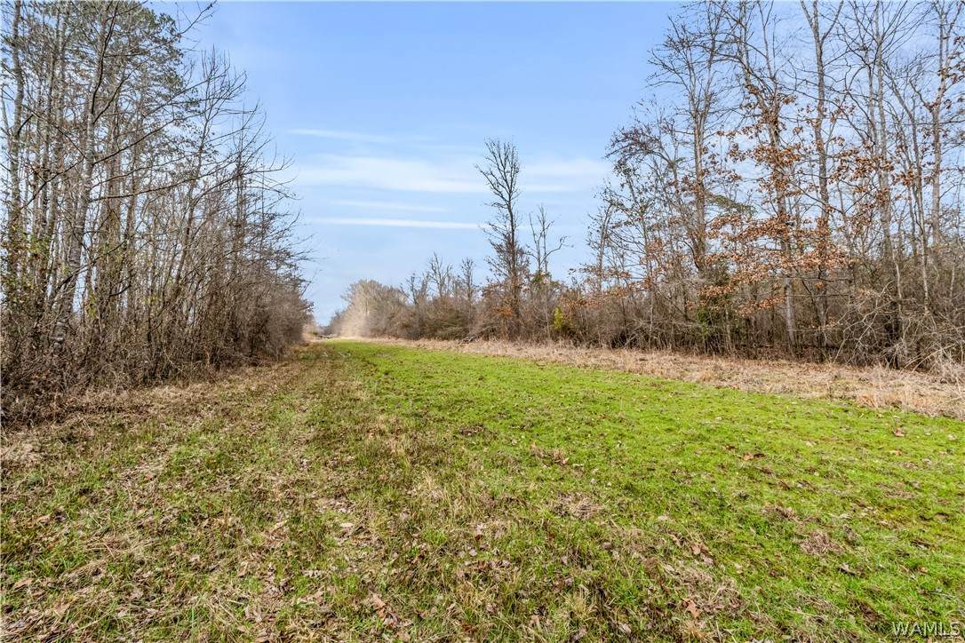 TBD County Rd 12 - Photo 1