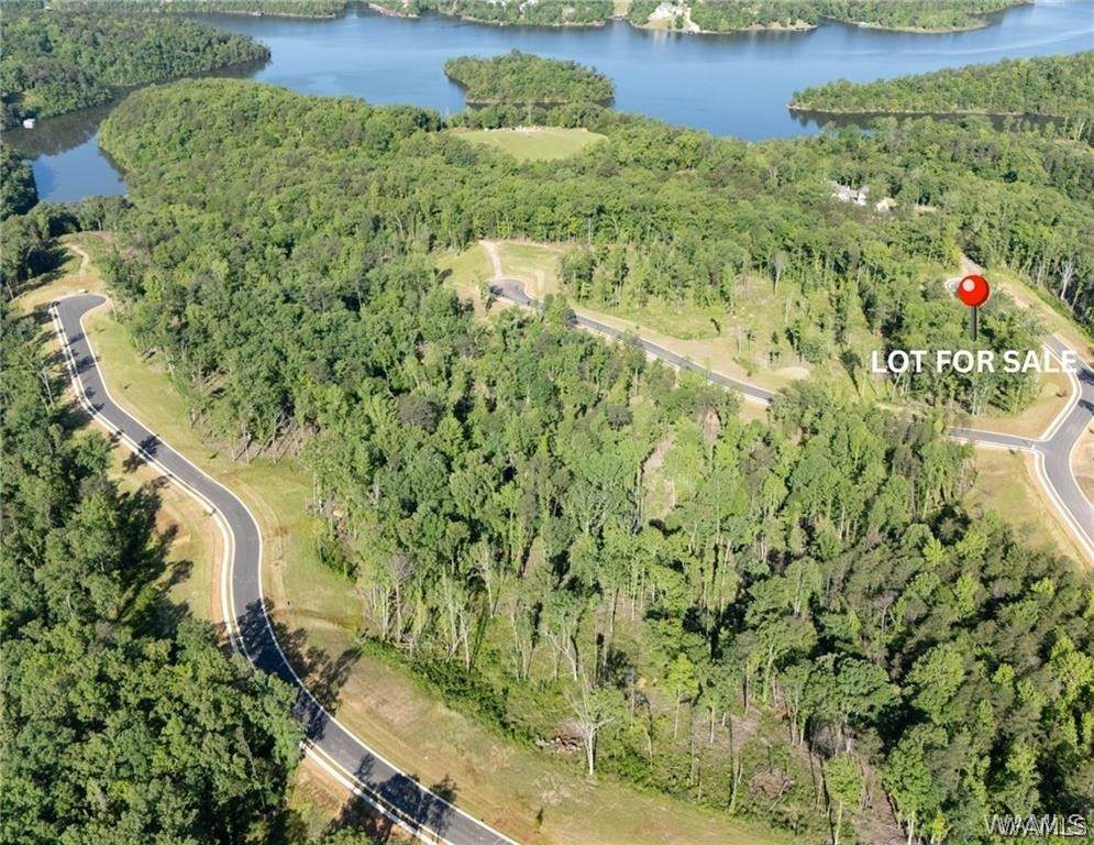 49 Lake Island Rd - Photo 1