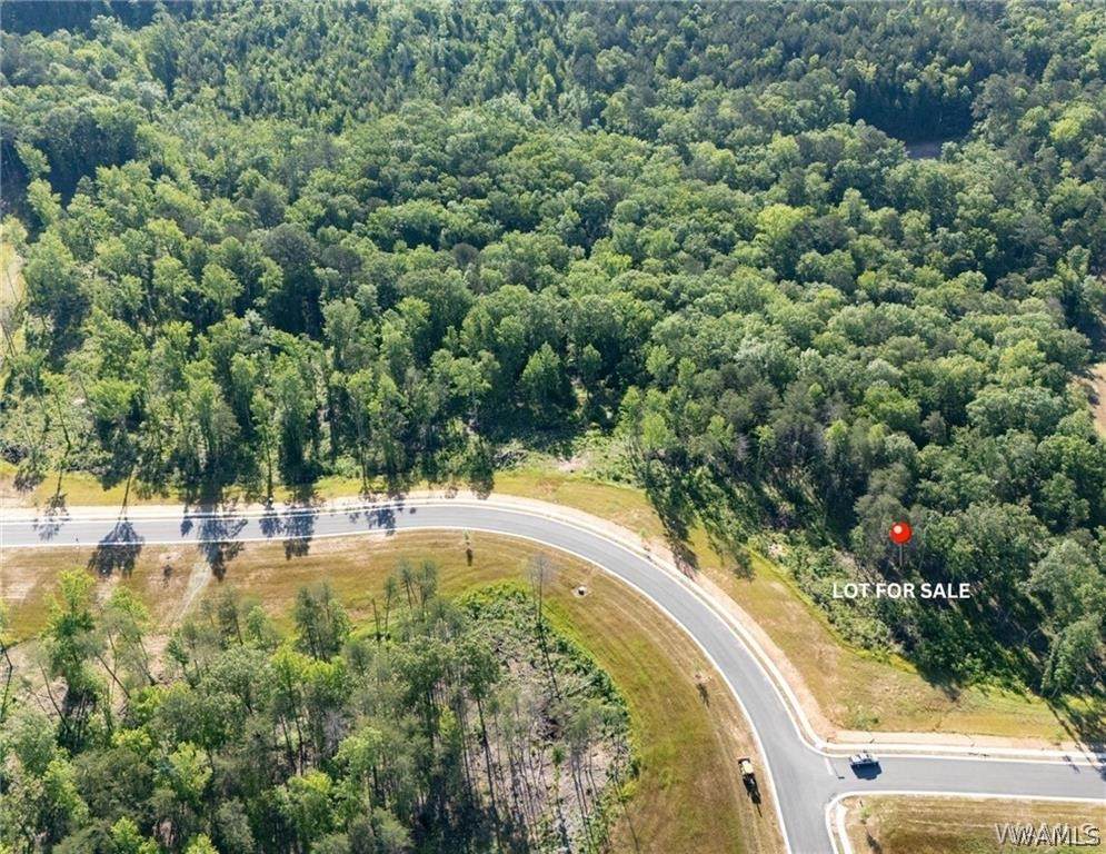 11 Lake Island Rd - Photo 1