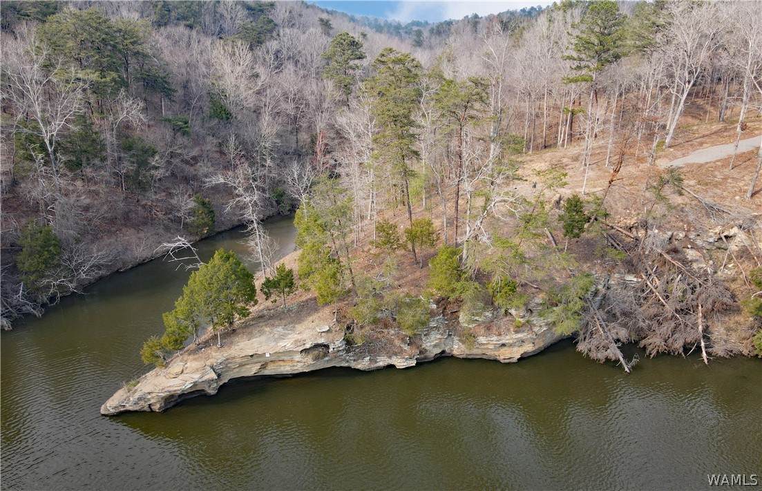 0 Cliff Drive - Photo 1