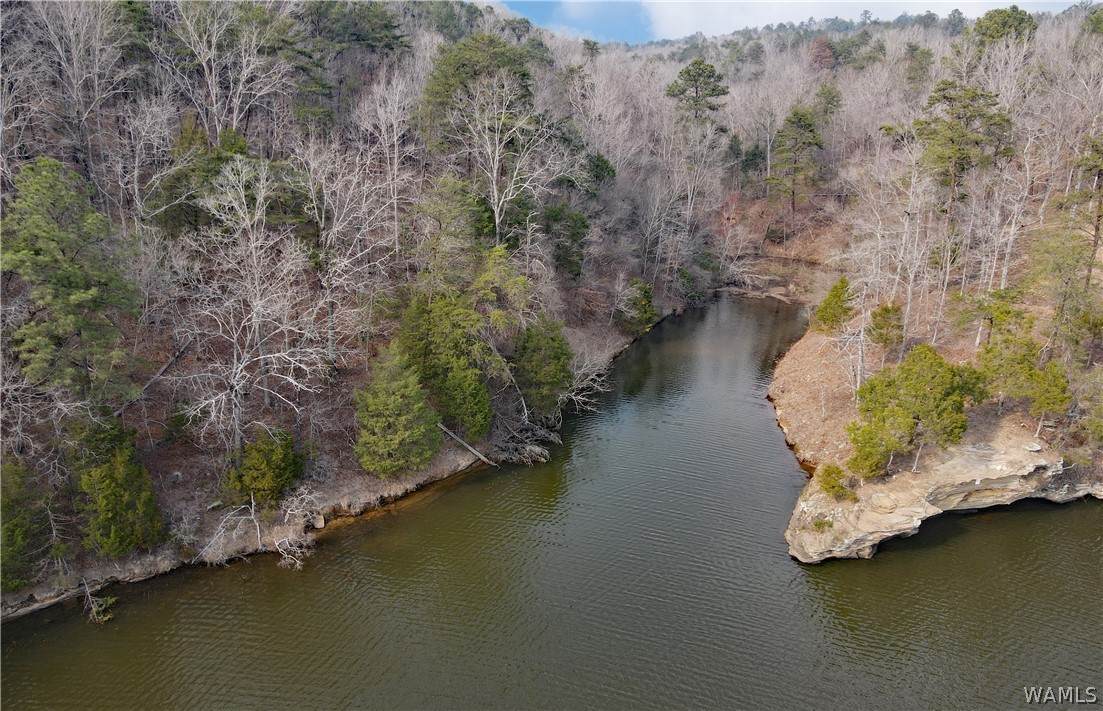https://bt-photos.global.ssl.fastly.net/tuscaloosa/orig_boomver_1_173664-2.jpg