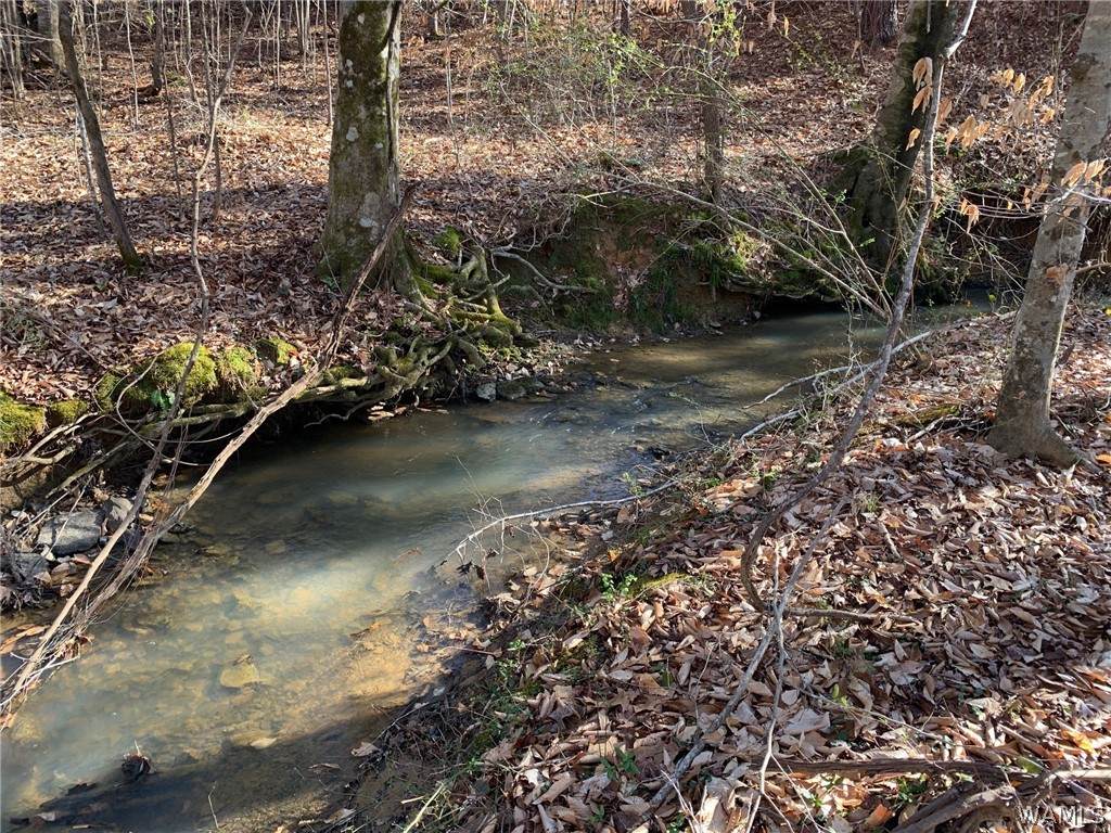 2 Mountainside Drive - Photo 1