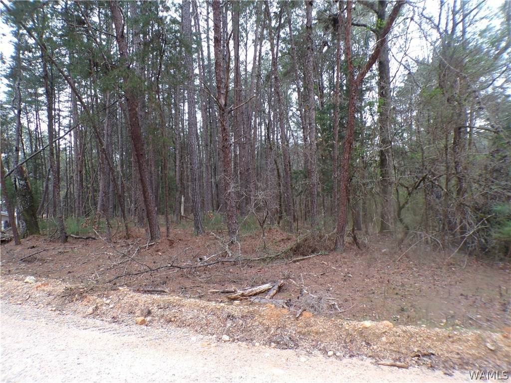 13495 Gilbert Tommie Rd. - Photo 1