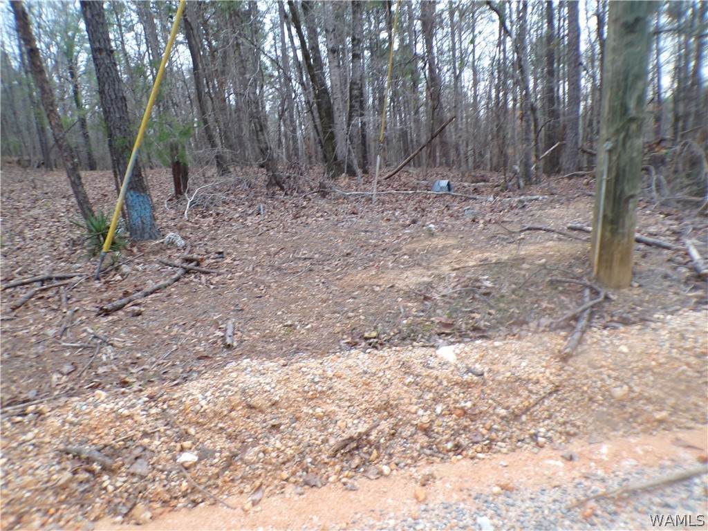 https://bt-photos.global.ssl.fastly.net/tuscaloosa/orig_boomver_1_173687-2.jpg