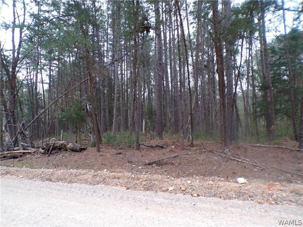 https://bt-photos.global.ssl.fastly.net/tuscaloosa/orig_boomver_1_173687-2.jpg