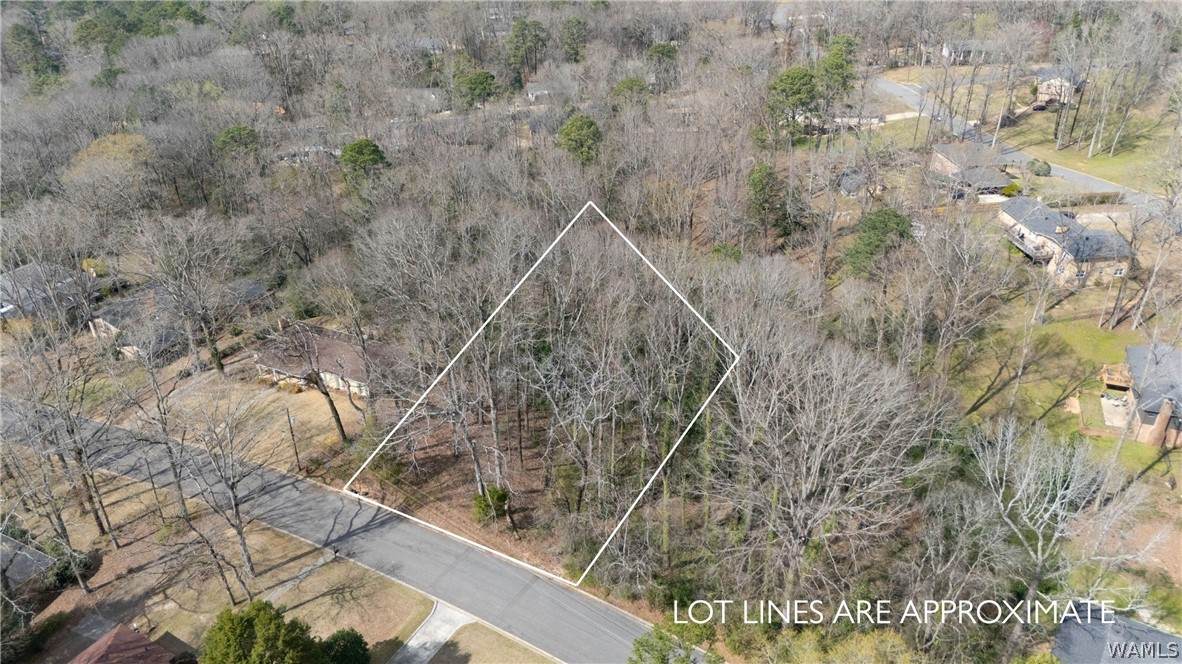 0 Firethorn Drive - Photo 1