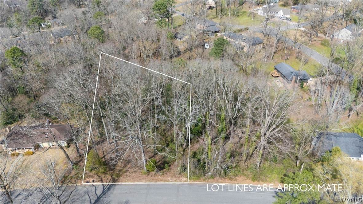 https://bt-photos.global.ssl.fastly.net/tuscaloosa/orig_boomver_1_173692-2.jpg