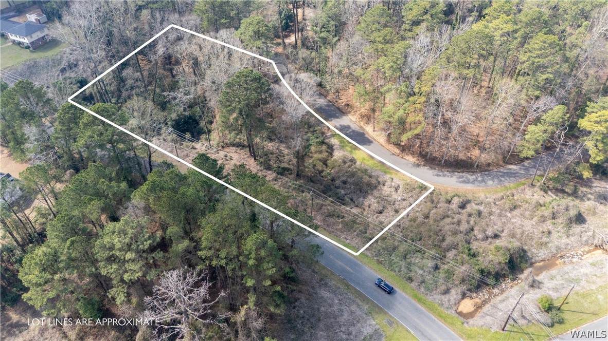 0 Woodland Road - Photo 1