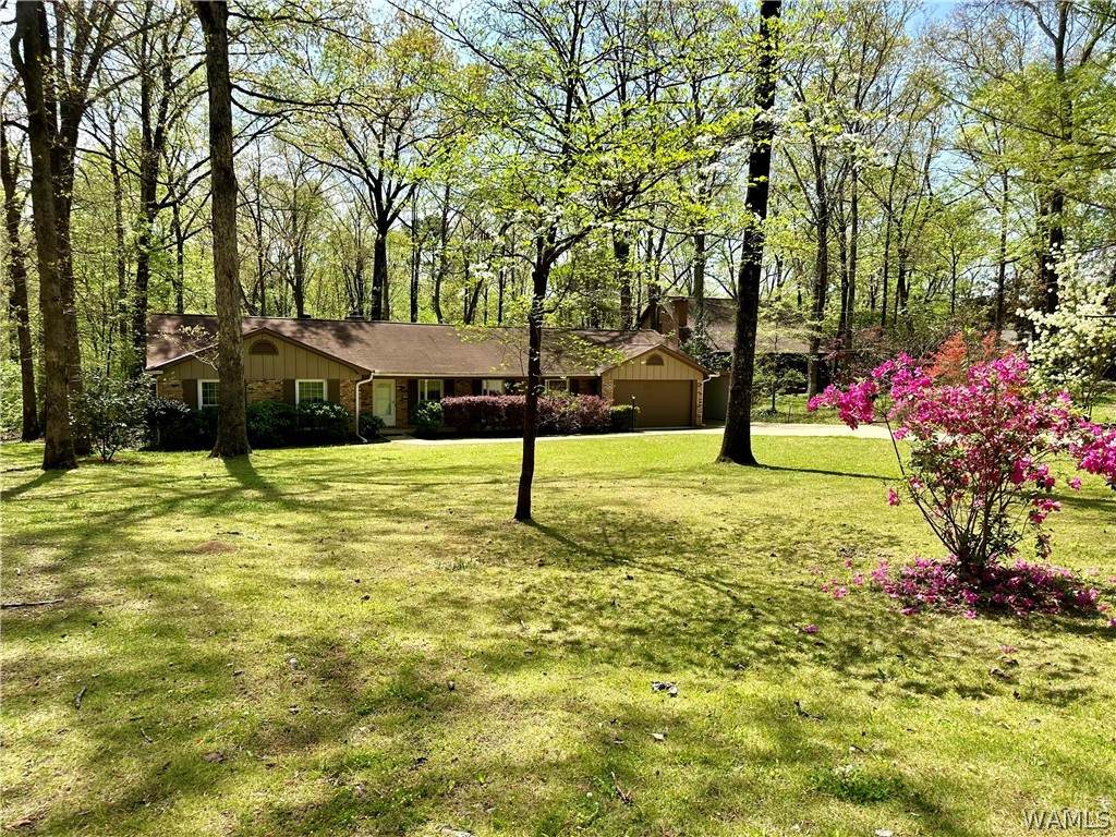 64 Cherokee Hills - Photo 1