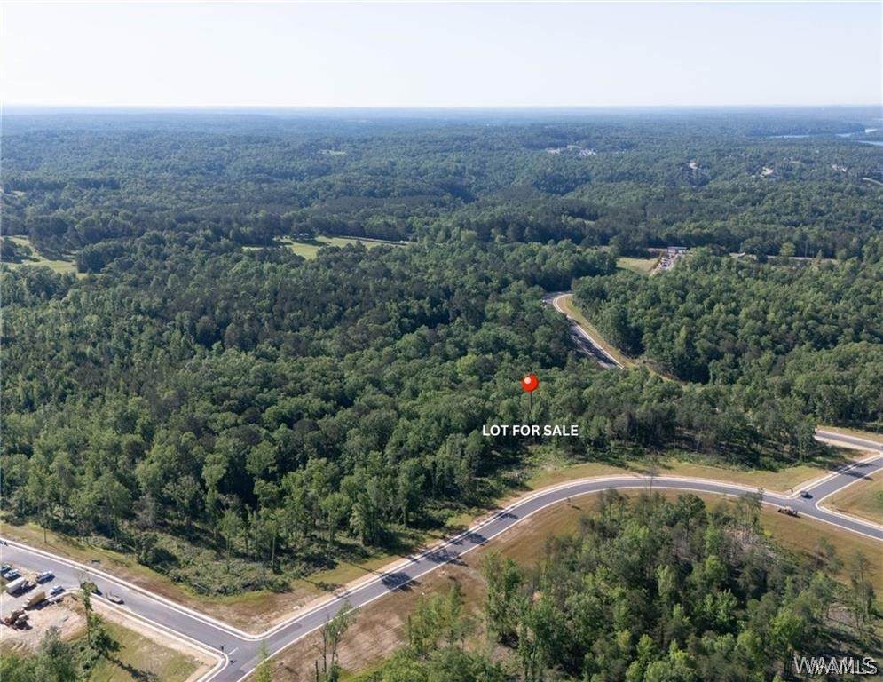 10 Lake Island Rd - Photo 1