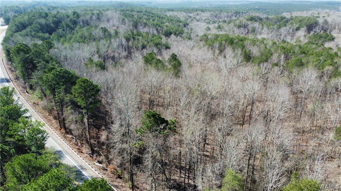 https://bt-photos.global.ssl.fastly.net/tuscaloosa/orig_boomver_1_173755-2.jpg