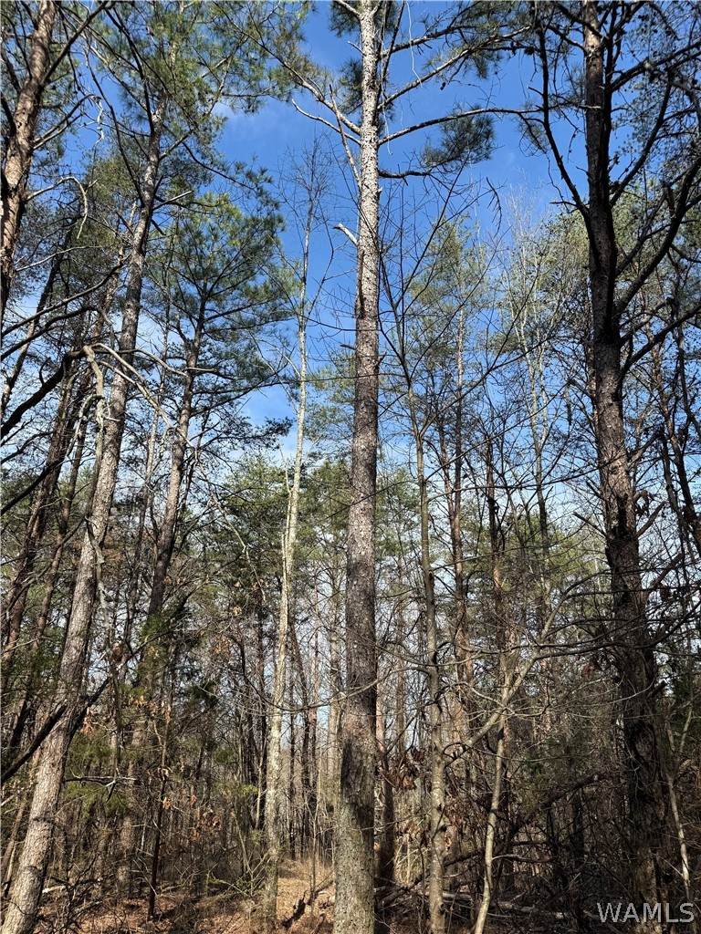 https://bt-photos.global.ssl.fastly.net/tuscaloosa/orig_boomver_1_173756-2.jpg