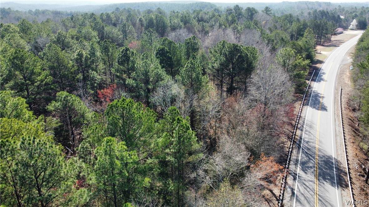 https://bt-photos.global.ssl.fastly.net/tuscaloosa/orig_boomver_1_173757-2.jpg