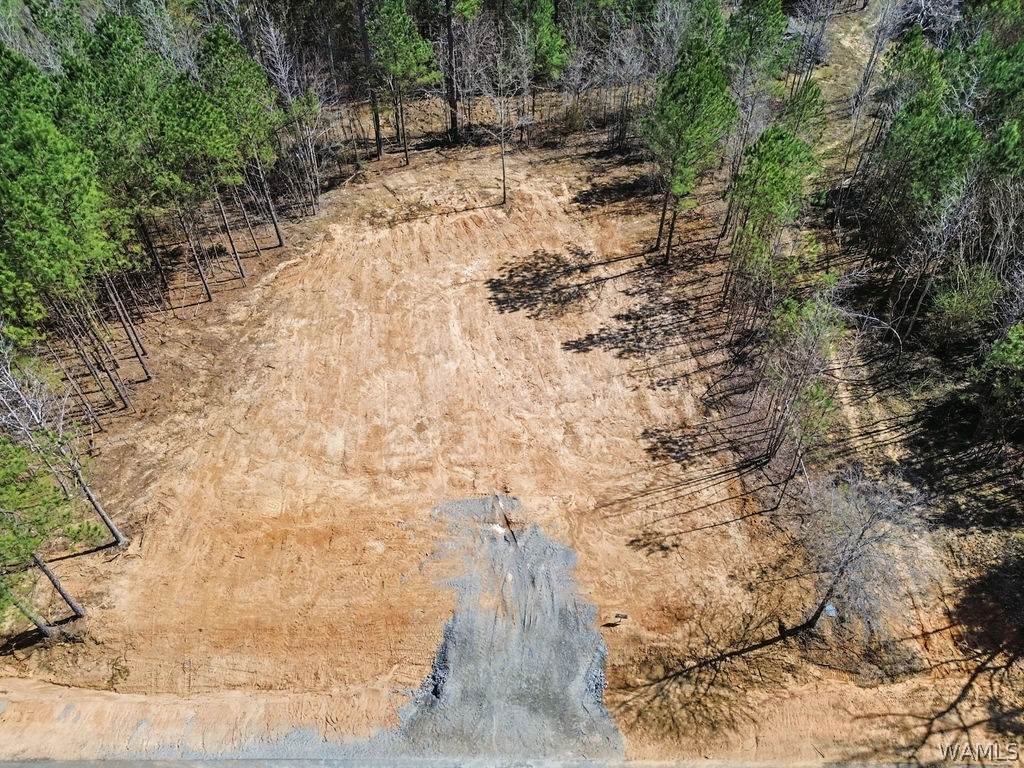 Lot 8 John Swindle Rd - Photo 1