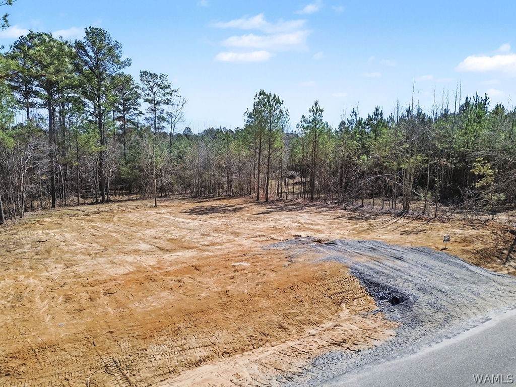 https://bt-photos.global.ssl.fastly.net/tuscaloosa/orig_boomver_1_173796-2.jpg