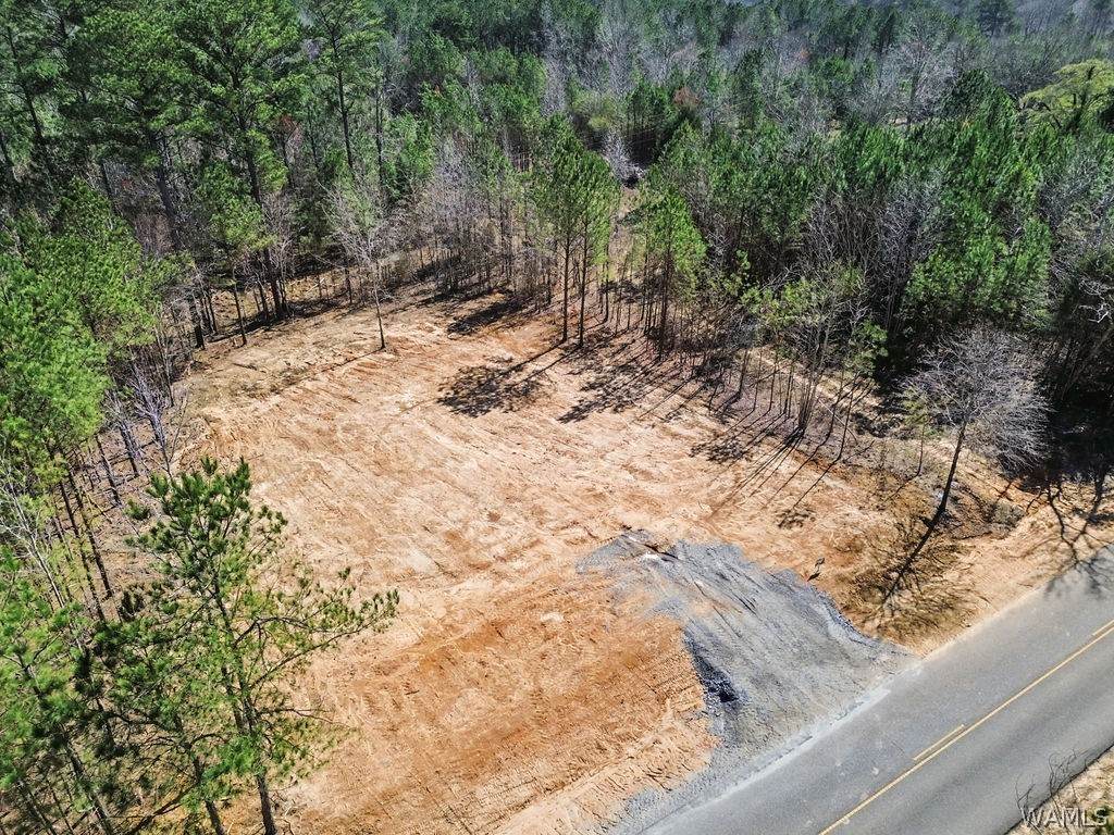 https://bt-photos.global.ssl.fastly.net/tuscaloosa/orig_boomver_1_173796-2.jpg