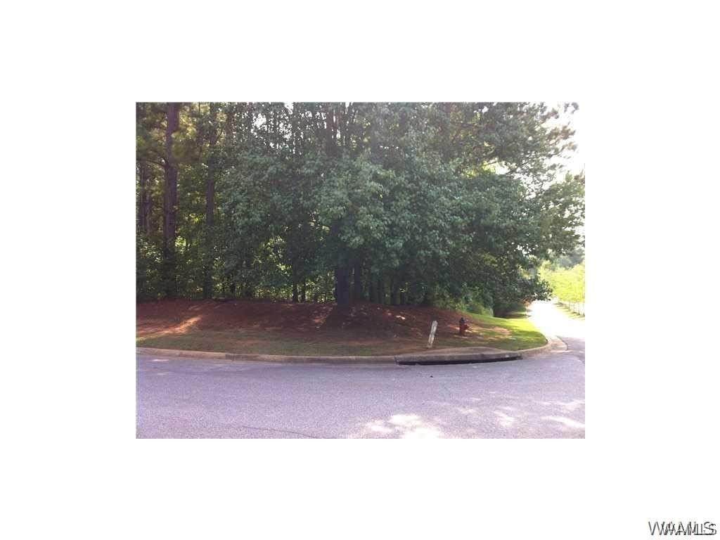 7001 Audrey Rose Circle - Photo 1
