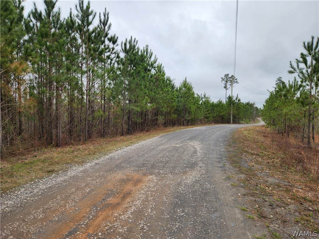 https://bt-photos.global.ssl.fastly.net/tuscaloosa/orig_boomver_1_173811-2.jpg