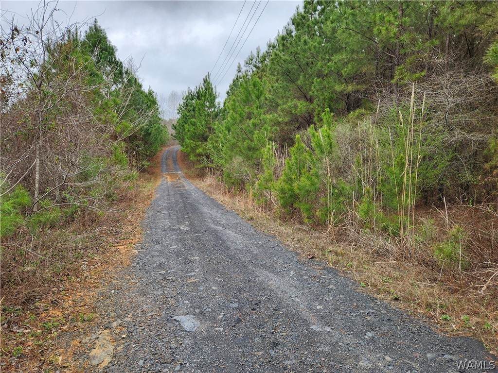 https://bt-photos.global.ssl.fastly.net/tuscaloosa/orig_boomver_1_173811-2.jpg