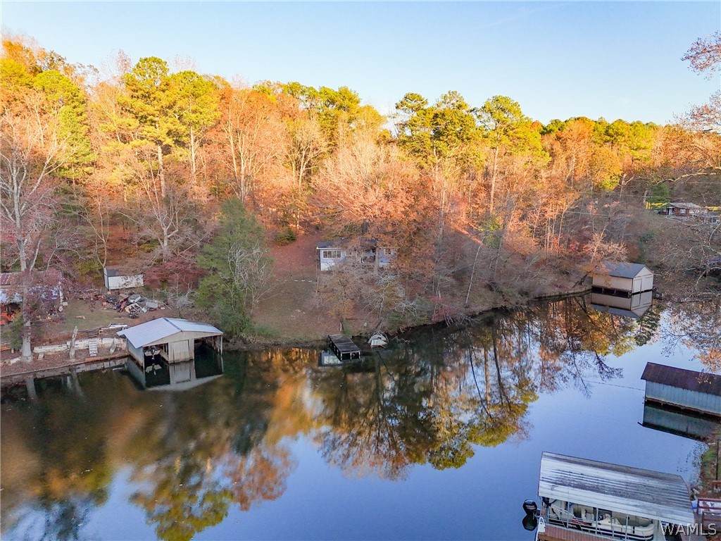 https://bt-photos.global.ssl.fastly.net/tuscaloosa/orig_boomver_1_173840-2.jpg