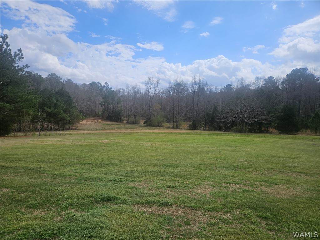 https://bt-photos.global.ssl.fastly.net/tuscaloosa/orig_boomver_1_173946-2.jpg