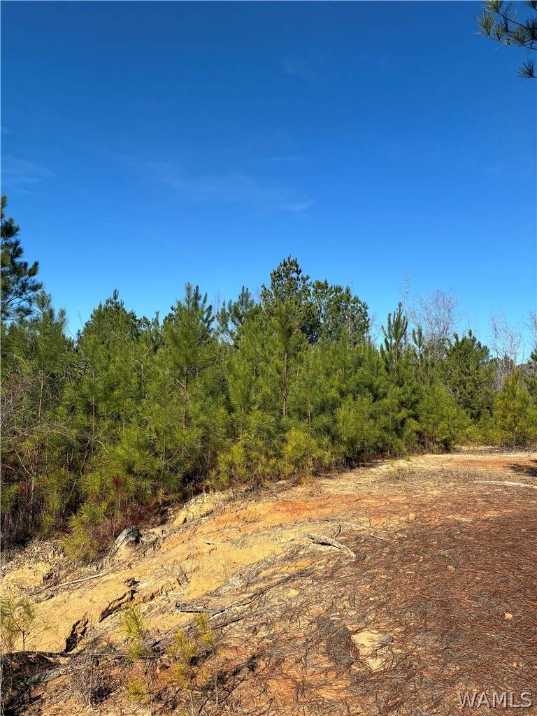 https://bt-photos.global.ssl.fastly.net/tuscaloosa/orig_boomver_1_174038-2.jpg